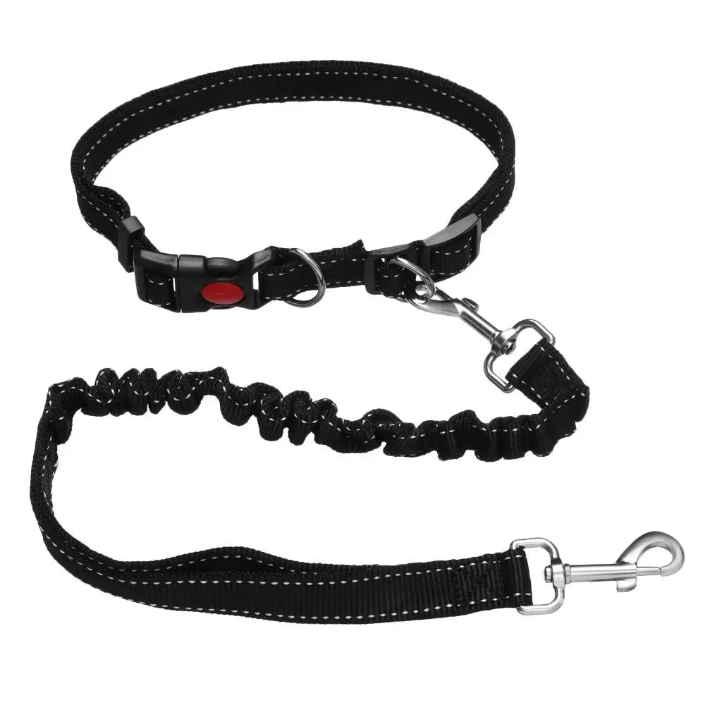 Dog Bungee Leash No Pull - Adjustable Hands-Free Leash for Running