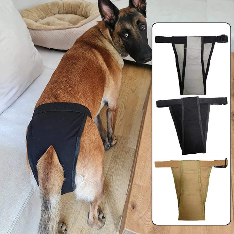 Dog Menstrual Pads | Protective Pants with Sanitary Pads for Female Dogs