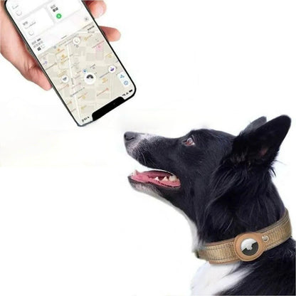 Airtag Dog Collar with Waterproof Tracker
