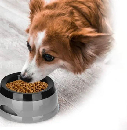Portable Dog Water Bowl - Large Capacity, Non-Spill for Travel