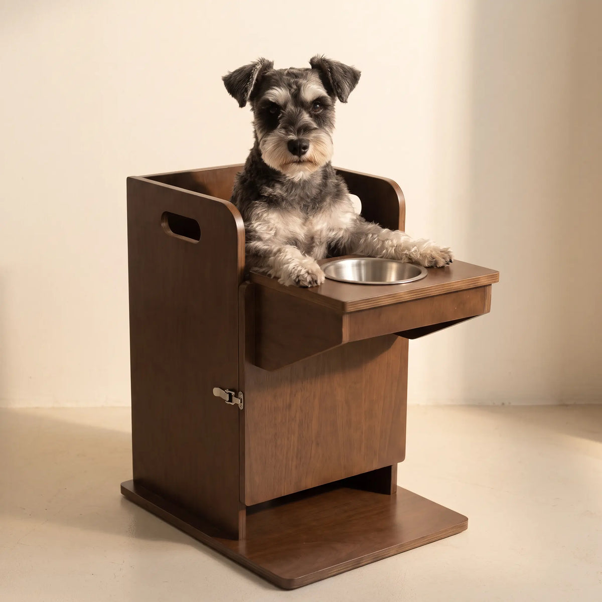bailey chair for dog with megasophagus small dog