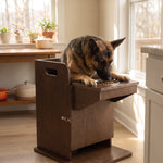 bailey chair for large dogs