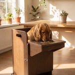bailey chair for medium dogs