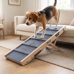 Beagle walking down the Whisker Bark dog ramp from a couch in a sunlit living room.