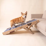 Corgi standing on the Whisker Bark dog ramp with the top end resting on a couch.