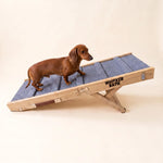 Dachshund standing on the Whisker Bark folding dog ramp against a cream background.