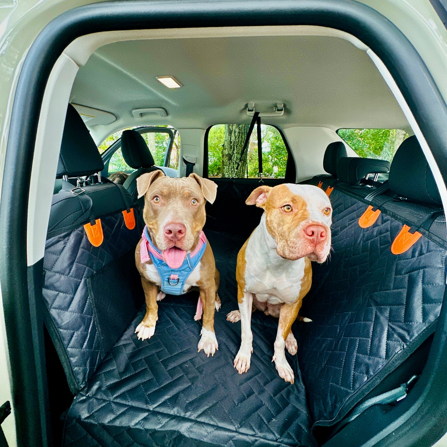 dog car seat cover with hard bottom