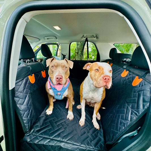 two dogs in a car seat cover with hard bottom in a car