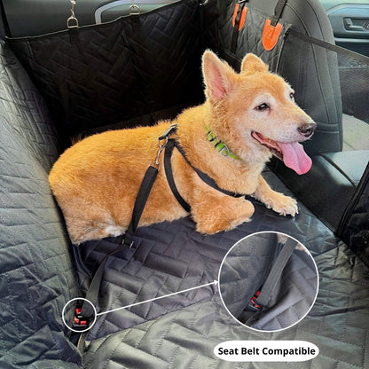 dog in a seat belt compatible car seat hard bottom