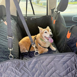 dog sitting in a backseat extender for cars