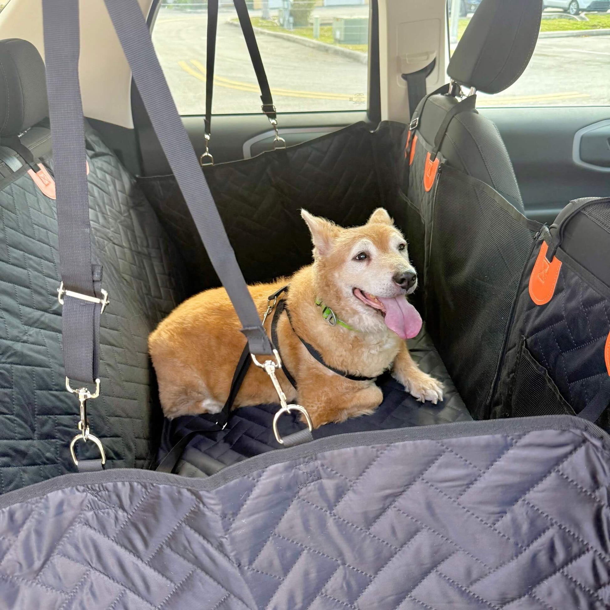 dog sitting in a backseat extender for cars