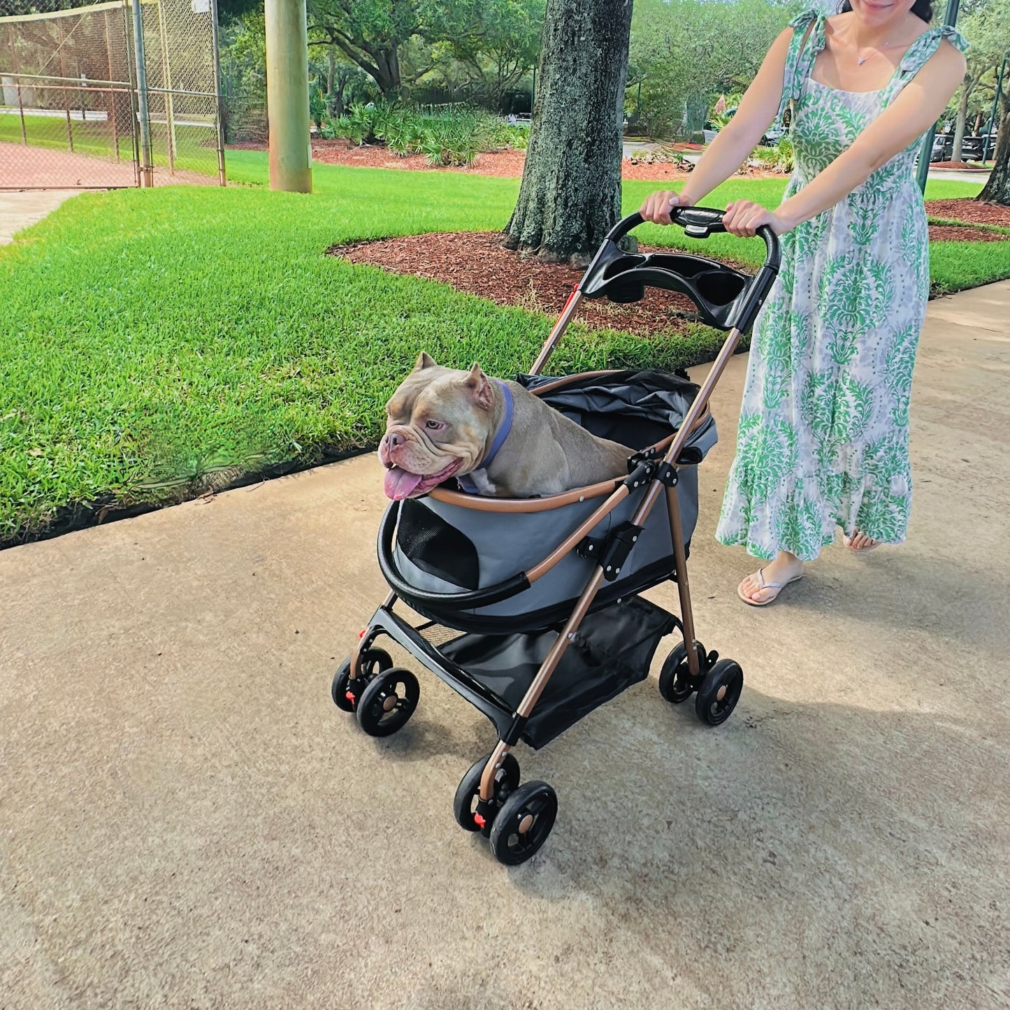 Luxury Pet Stroller for Small & Medium Dogs with Individual Basket
