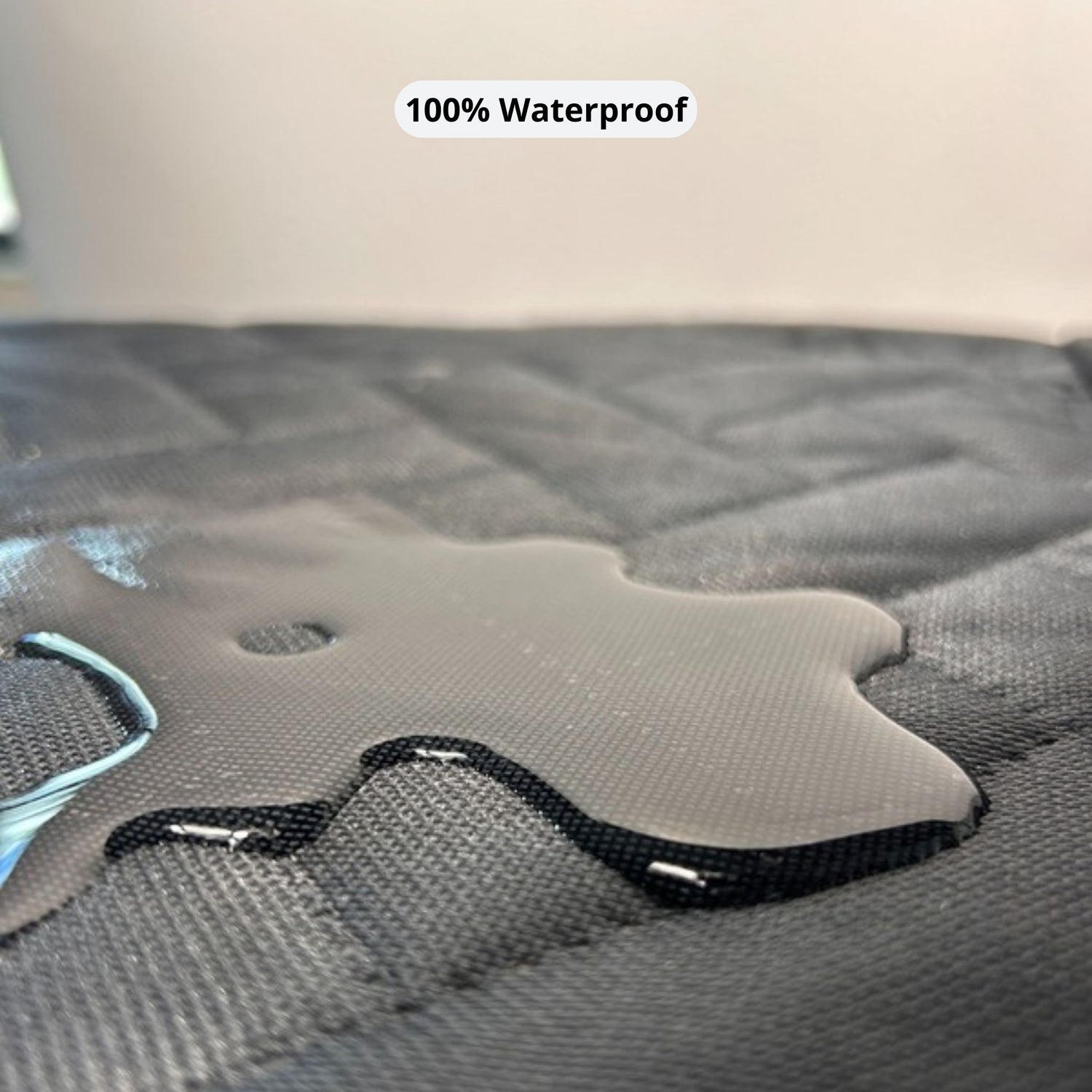 water on a dog car seat cover