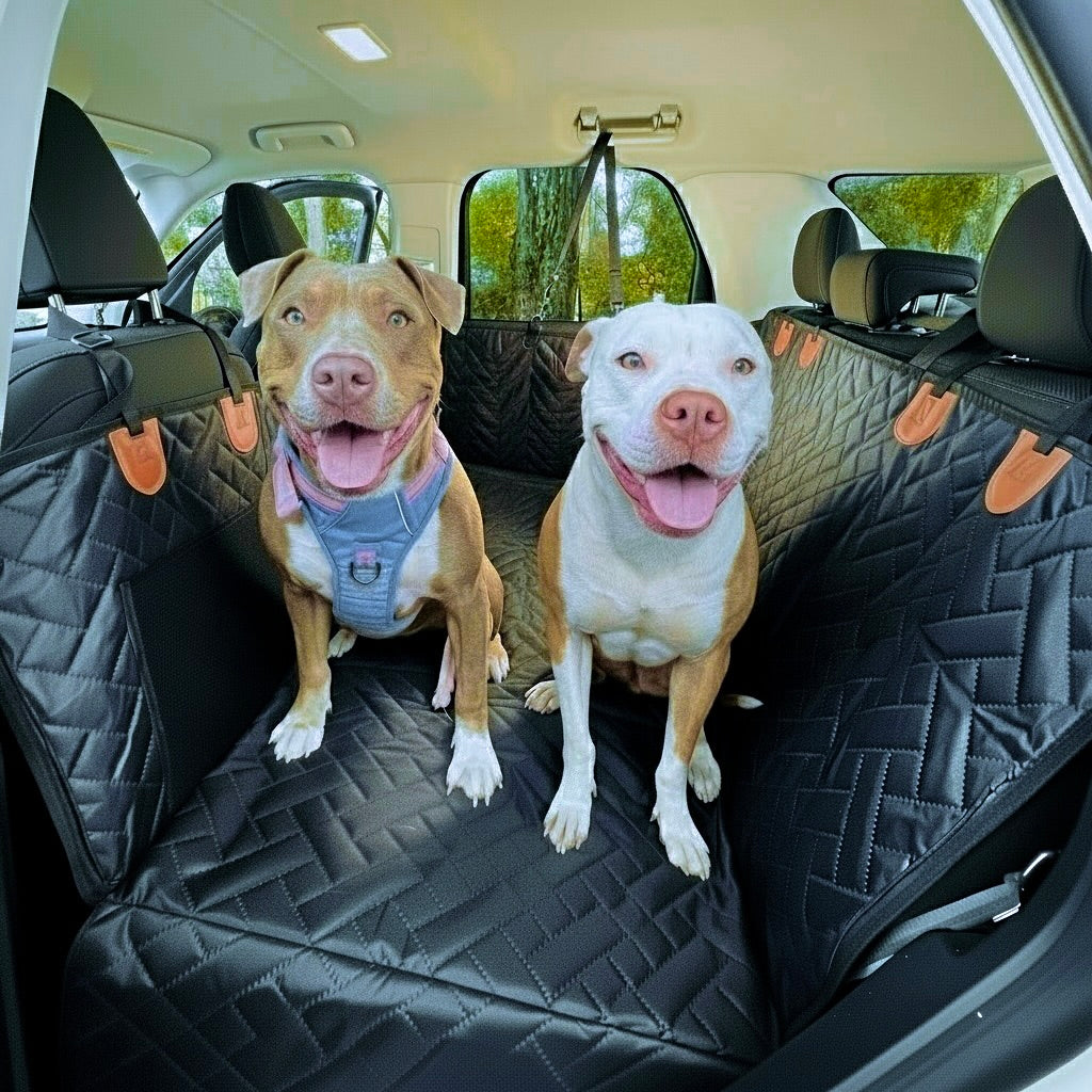 Two happy dogs sitting in a car with a black hard bottom dog seat cover.
