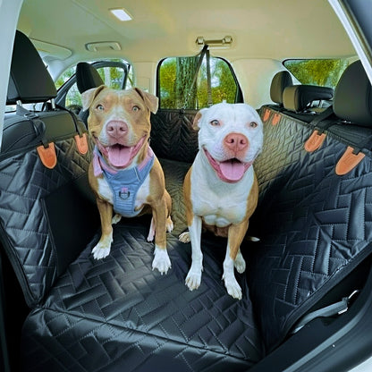 Two happy dogs sitting in a car with a black hard bottom dog seat cover.